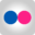 Flickr Icon